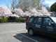 lincoln university - car park